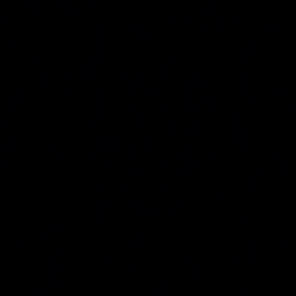 christi_reiss